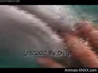 Zoophile is having fingering in the water