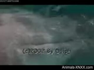 Zoophile is having fingering in the water