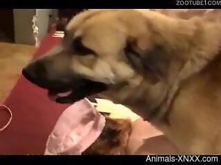 Dog hard fucks sexy woman from behind and comes inside her