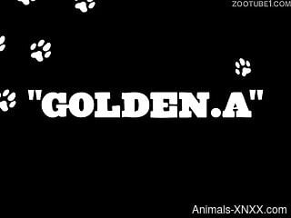 Nude woman tries the dog's furry cock in both her holes