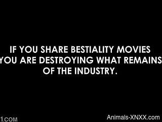 Brunette babe handles the dog dick with care