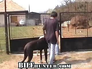 Amateur woman swap the dog dick in outdoor zoophilia kinks