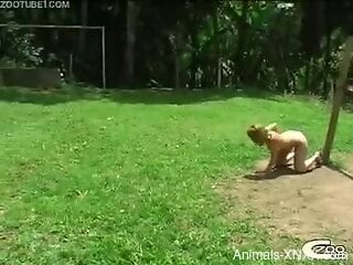 Blonde doll engulfs the dog dick until the sperm floods her tits