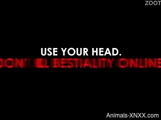 Masked blond housewife and her dog are having zoo sex