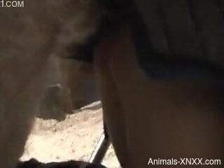 Doggy-style zoophilia featuring slutty bitch