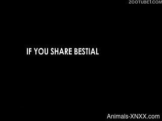 Rough bestiality is what that housewife craving for