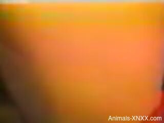 Rough anal zoo sex makes horny babe moan