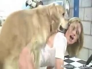 White dog makes hot blonde cum from zoo sex