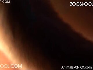 Busty brunette keeps moaning during zoo sex