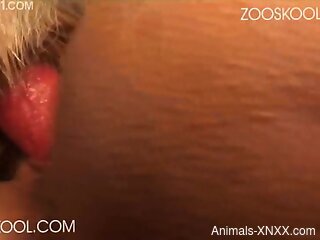 Busty brunette keeps moaning during zoo sex
