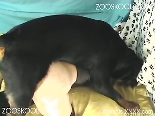 Non-stop doggy-style zoo sex with a black dog