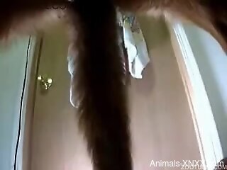 Filthy whore collects cumshots after zoo sex