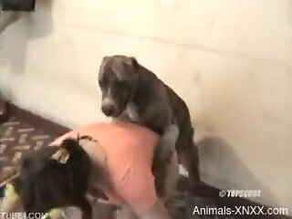 Shaved twat of a housewife gets humped in zoo porn