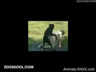 Fat whore loves lecherous zoo sex a lot