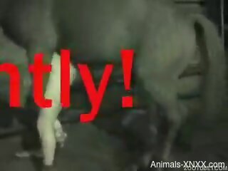 Zoophile's hole is annihilated by horse dick