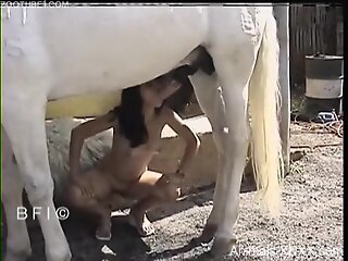 Brunette babe tries the horse's cock for a few sexual rounds