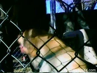 Aroused slut fucks with the dog after a perfect blowjob