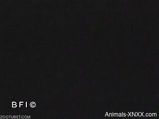 Blonde MILF lets the dog hammer her muff in homemade zoophilia