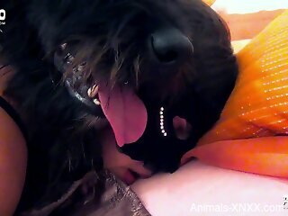 furry dog makes brunette babe feel amazing during home rounds