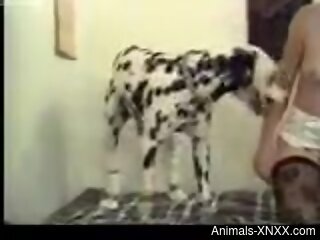 Dashing slut fucked by her dog in homemade cam scenes