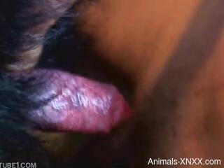 Amateur guy shares first zoophilia experience with his dog
