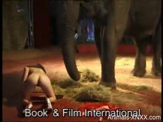 Blonde babe plays naked at the circus next to an elephant