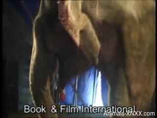 Blonde babe plays naked at the circus next to an elephant