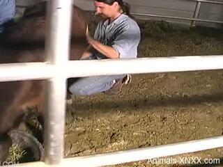 Couple plays naughty at the farm in dirty zoophilia perversions