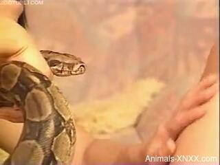 Lesbians use massive snake in their sexual zoophilia game