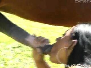 Lesbians work the horse cock in exclusive outdoor kinks