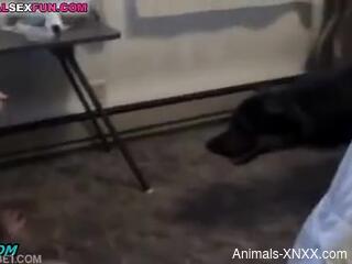Sexy blonde woman handles the dog's dick like a pro