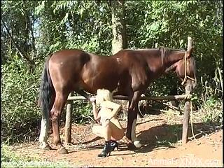 Blonde teen tries the horse's huge dick in her tiny pussy