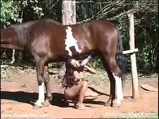 Latina with fine ass shoves the horse's huge dick in her muff