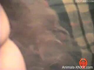 Sexy female shoves the dog's dick up her fanny in excellent sc...