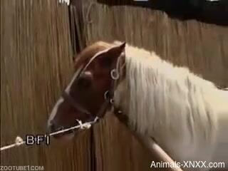 Blonde hottie plays sexual games with her horse