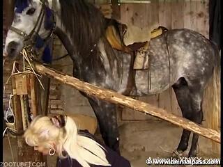 Blonde mature tries the horse's huge penis for unique pleasure