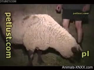 Young farmer thinks about hard fucking some of the animals