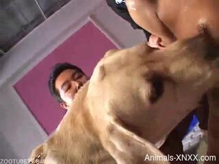 Busty Asian female gets fucked by a dog in front of other men