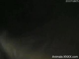 Insolent bitches share the dog dick in homemade amateur zoophilia