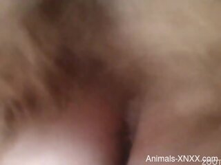 Naked woman endures a big dog dick in fabulous webcam XXX